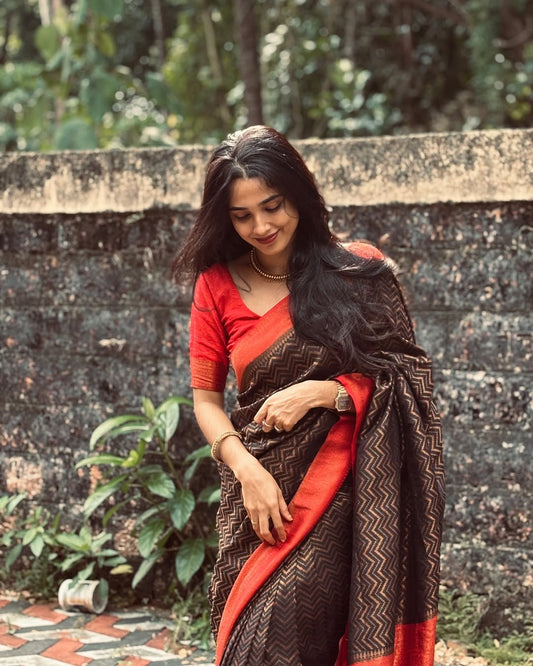 Aphotic Black Banarasi Silk Saree