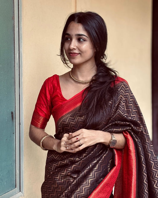 Aphotic Black Banarasi Silk Saree