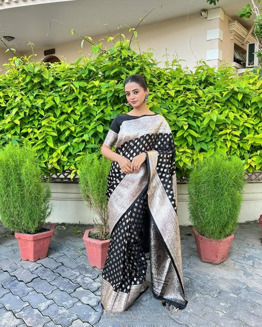 Brunet Black Woven Banarasi Saree